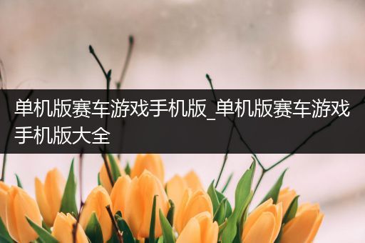 单机版赛车游戏手机版_单机版赛车游戏手机版大全