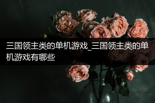 三国领主类的单机游戏_三国领主类的单机游戏有哪些
