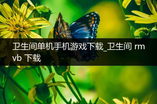 卫生间单机手机游戏下载_卫生间 rmvb 下载