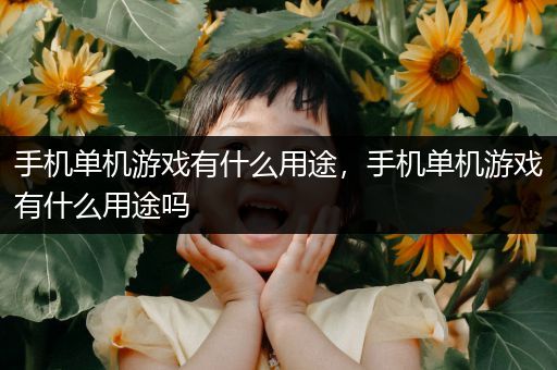 手机单机游戏有什么用途，手机单机游戏有什么用途吗