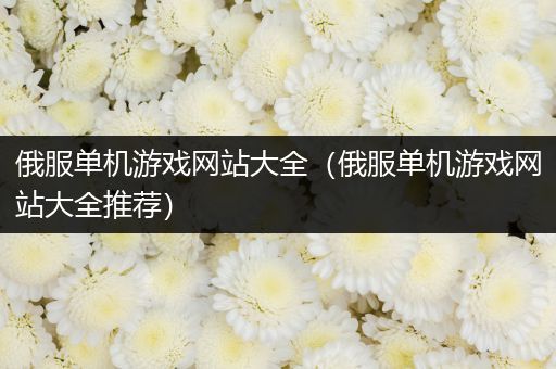 俄服单机游戏网站大全（俄服单机游戏网站大全推荐）