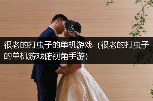 很老的打虫子的单机游戏（很老的打虫子的单机游戏俯视角手游）