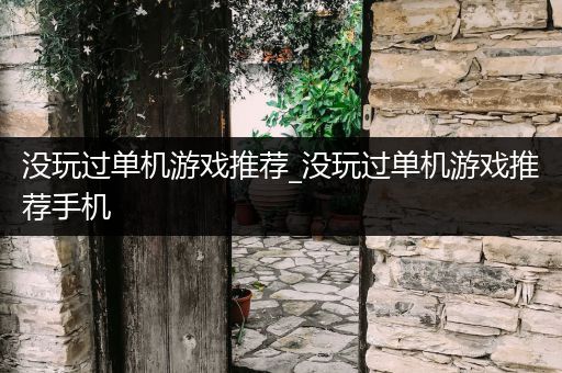 没玩过单机游戏推荐_没玩过单机游戏推荐手机