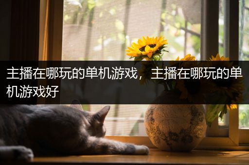 主播在哪玩的单机游戏，主播在哪玩的单机游戏好