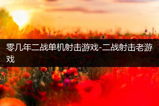 零几年二战单机射击游戏-二战射击老游戏