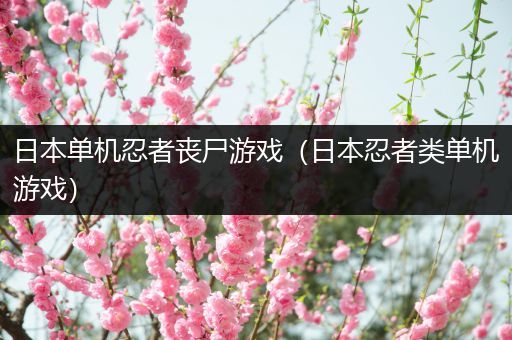 日本单机忍者丧尸游戏（日本忍者类单机游戏）