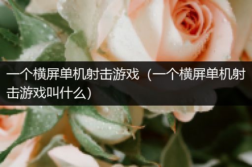 一个横屏单机射击游戏（一个横屏单机射击游戏叫什么）