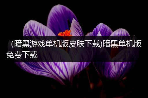 （暗黑游戏单机版皮肤下载)暗黑单机版免费下载