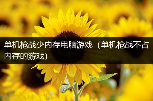 单机枪战少内存电脑游戏（单机枪战不占内存的游戏）