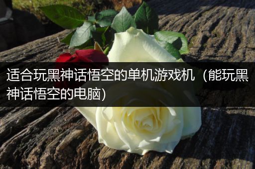 适合玩黑神话悟空的单机游戏机（能玩黑神话悟空的电脑）