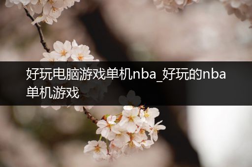 好玩电脑游戏单机nba_好玩的nba单机游戏