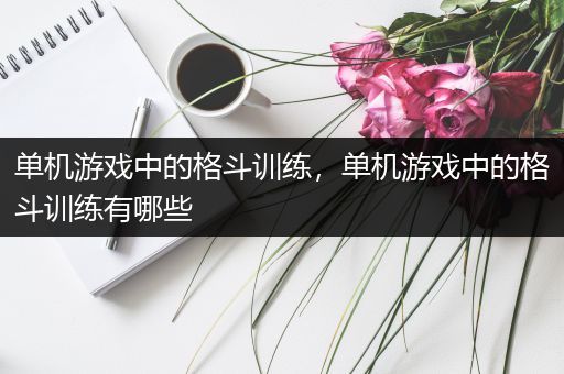 单机游戏中的格斗训练，单机游戏中的格斗训练有哪些