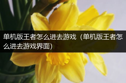 单机版王者怎么进去游戏（单机版王者怎么进去游戏界面）