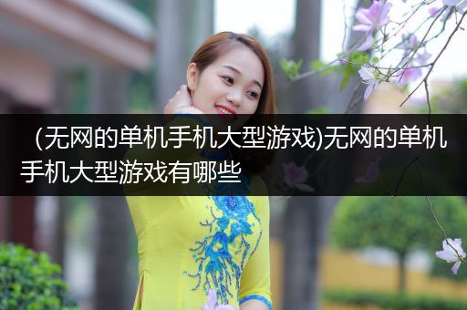 （无网的单机手机大型游戏)无网的单机手机大型游戏有哪些