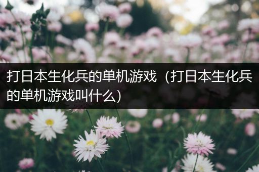 打日本生化兵的单机游戏（打日本生化兵的单机游戏叫什么）