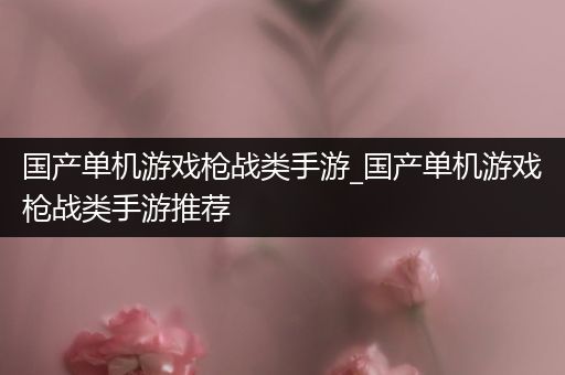 国产单机游戏枪战类手游_国产单机游戏枪战类手游推荐