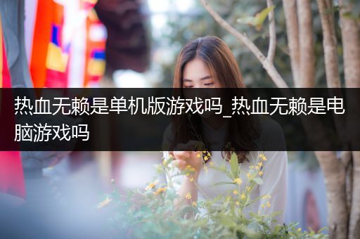 热血无赖是单机版游戏吗_热血无赖是电脑游戏吗