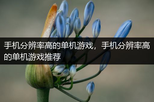 手机分辨率高的单机游戏，手机分辨率高的单机游戏推荐