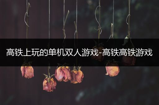 高铁上玩的单机双人游戏-高铁高铁游戏