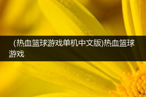 （热血篮球游戏单机中文版)热血篮球 游戏