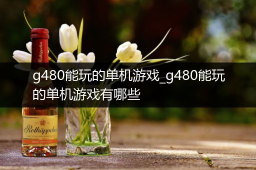 g480能玩的单机游戏_g480能玩的单机游戏有哪些