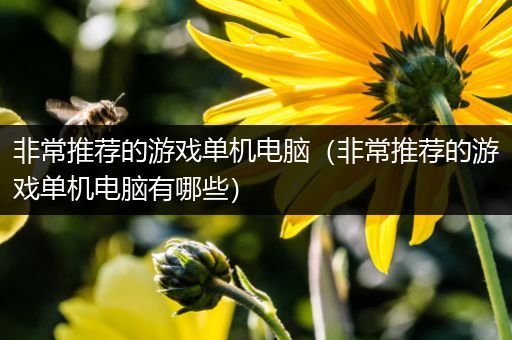 非常推荐的游戏单机电脑（非常推荐的游戏单机电脑有哪些）