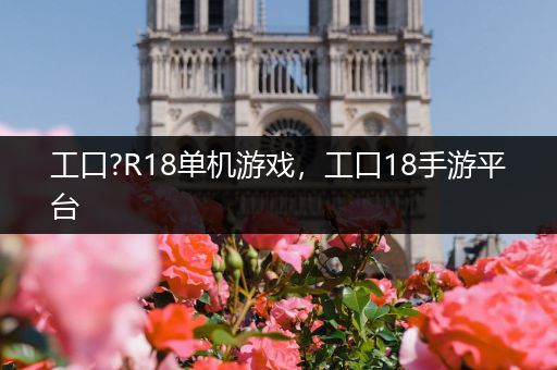 工口?R18单机游戏，工口18手游平台
