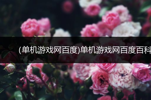 （单机游戏网百度)单机游戏网百度百科