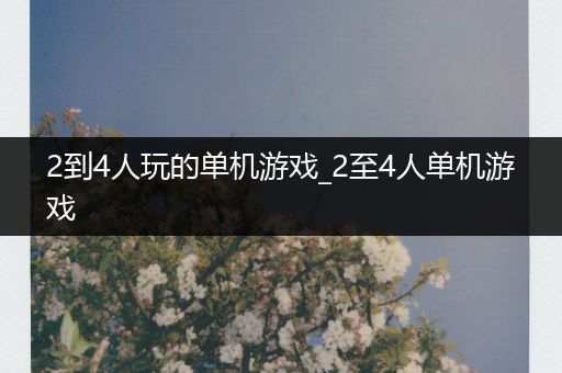 2到4人玩的单机游戏_2至4人单机游戏