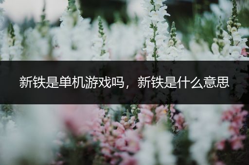 新铁是单机游戏吗，新铁是什么意思