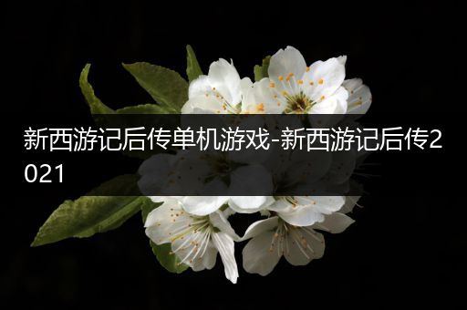 新西游记后传单机游戏-新西游记后传2021
