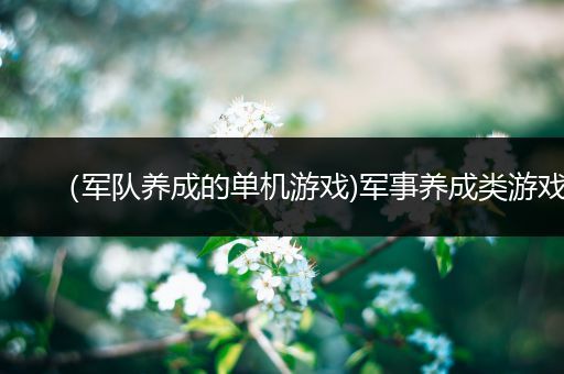 （军队养成的单机游戏)军事养成类游戏
