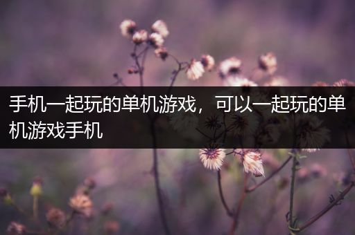 手机一起玩的单机游戏，可以一起玩的单机游戏手机