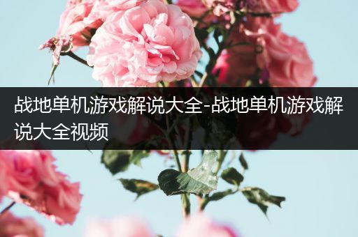 战地单机游戏解说大全-战地单机游戏解说大全视频