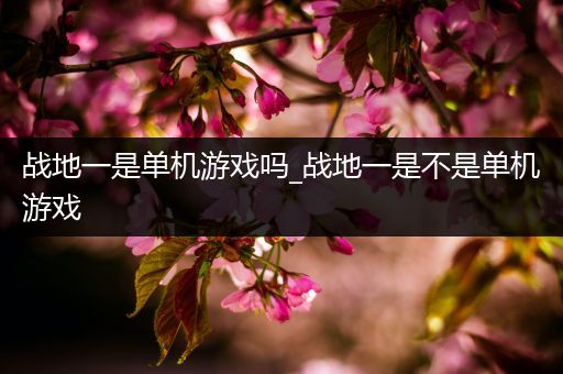 战地一是单机游戏吗_战地一是不是单机游戏