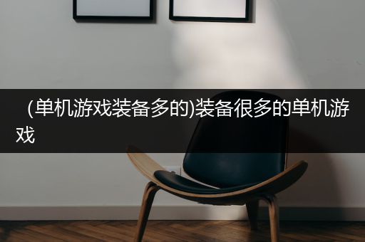 （单机游戏装备多的)装备很多的单机游戏