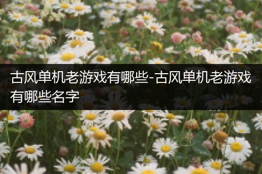 古风单机老游戏有哪些-古风单机老游戏有哪些名字