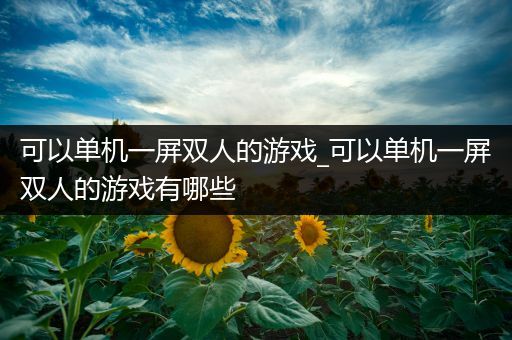 可以单机一屏双人的游戏_可以单机一屏双人的游戏有哪些