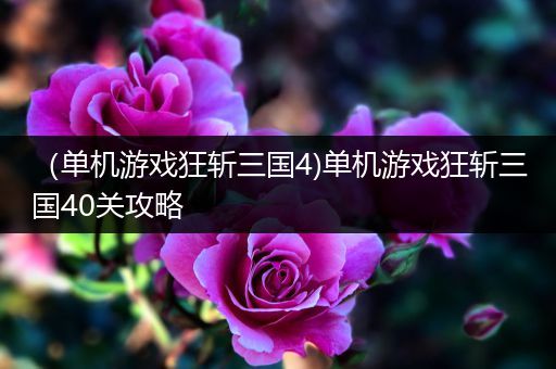 （单机游戏狂斩三国4)单机游戏狂斩三国40关攻略