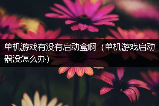 单机游戏有没有启动盒啊（单机游戏启动器没怎么办）