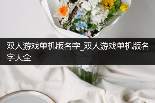 双人游戏单机版名字_双人游戏单机版名字大全