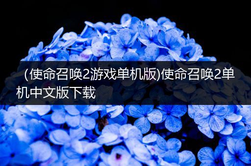 （使命召唤2游戏单机版)使命召唤2单机中文版下载