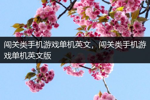 闯关类手机游戏单机英文，闯关类手机游戏单机英文版