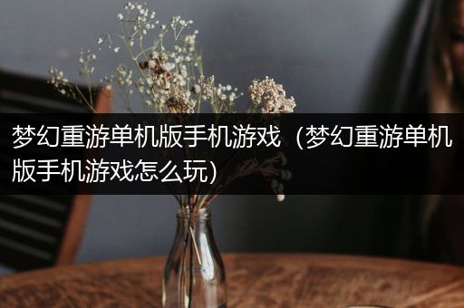 梦幻重游单机版手机游戏（梦幻重游单机版手机游戏怎么玩）