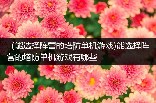 （能选择阵营的塔防单机游戏)能选择阵营的塔防单机游戏有哪些