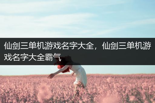 仙剑三单机游戏名字大全，仙剑三单机游戏名字大全霸气