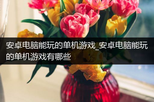 安卓电脑能玩的单机游戏_安卓电脑能玩的单机游戏有哪些