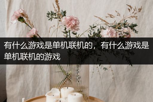 有什么游戏是单机联机的，有什么游戏是单机联机的游戏
