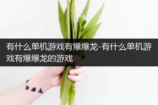 有什么单机游戏有爆爆龙-有什么单机游戏有爆爆龙的游戏