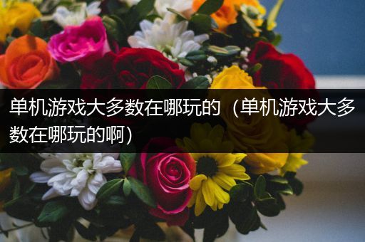 单机游戏大多数在哪玩的（单机游戏大多数在哪玩的啊）